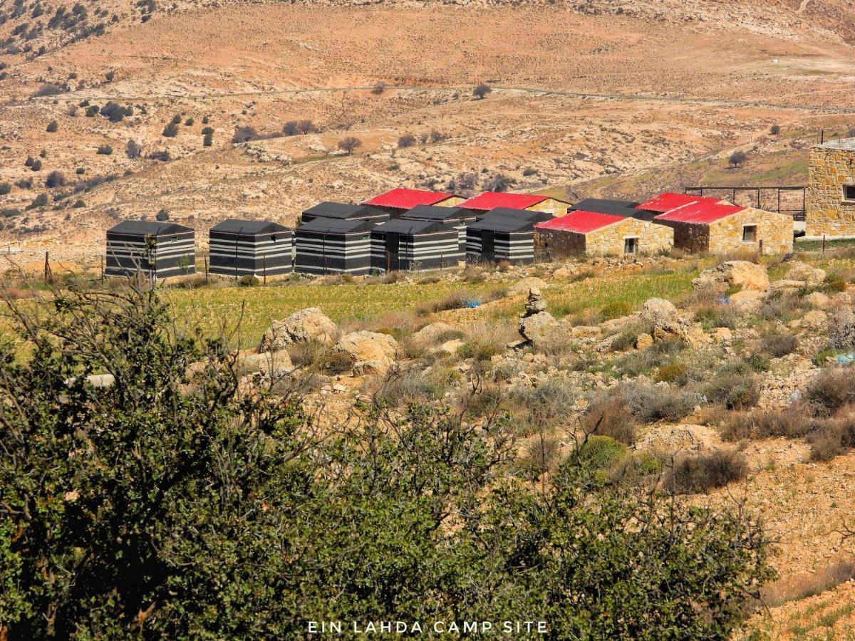 فندق Ein Lahda Camp-Site دانا المظهر الخارجي الصورة